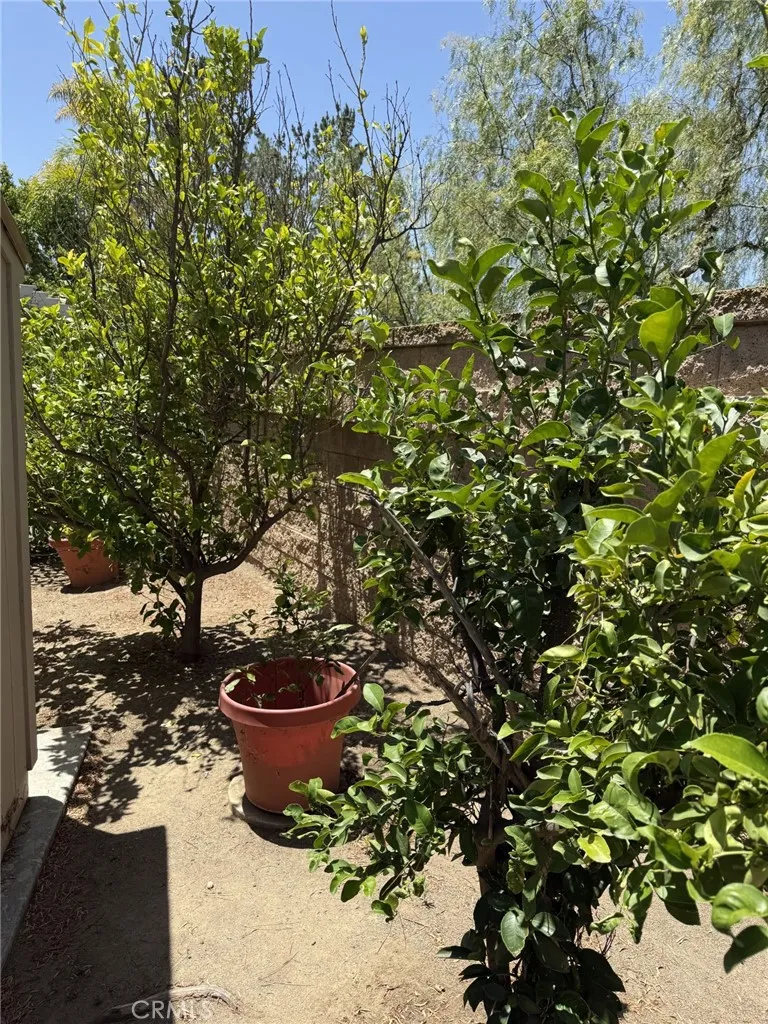 main property photo 54