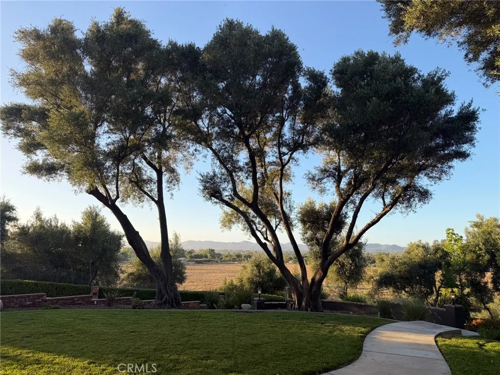 main property photo 64