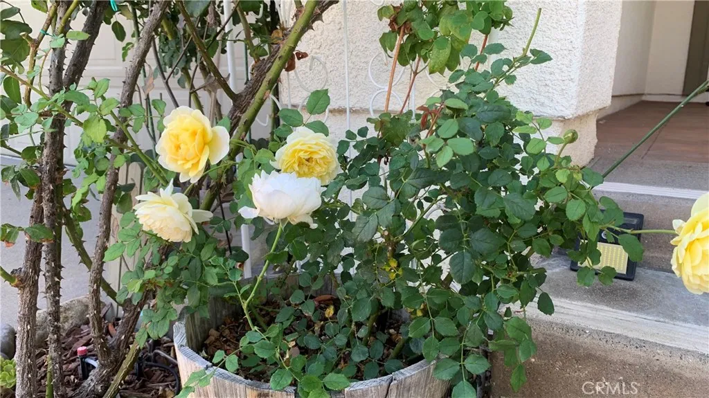 main property photo 70