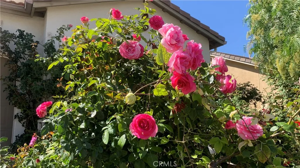main property photo 71