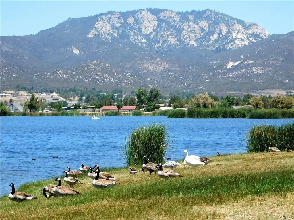 main property photo 57