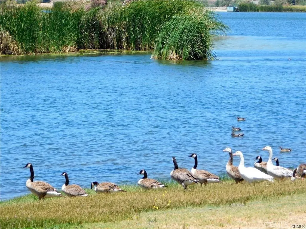 main property photo 58
