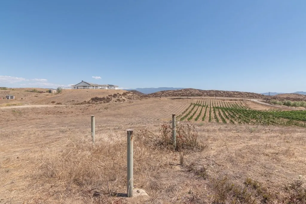 main property photo 16