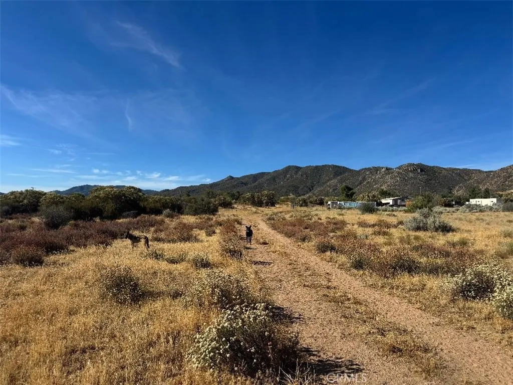 main property photo 12