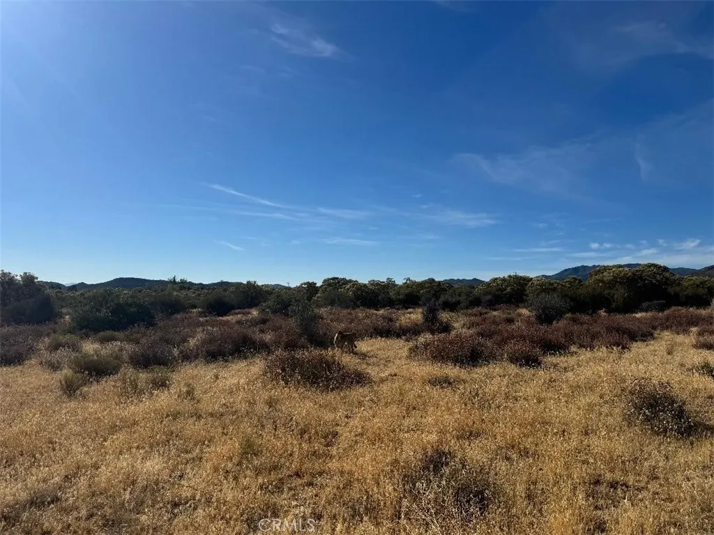 main property photo 13