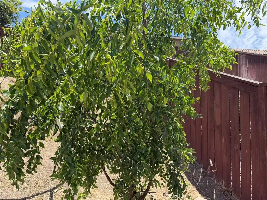 main property photo 51