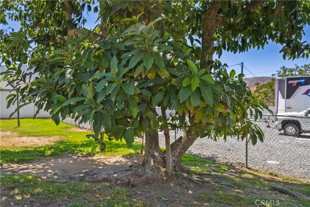 main property photo 48