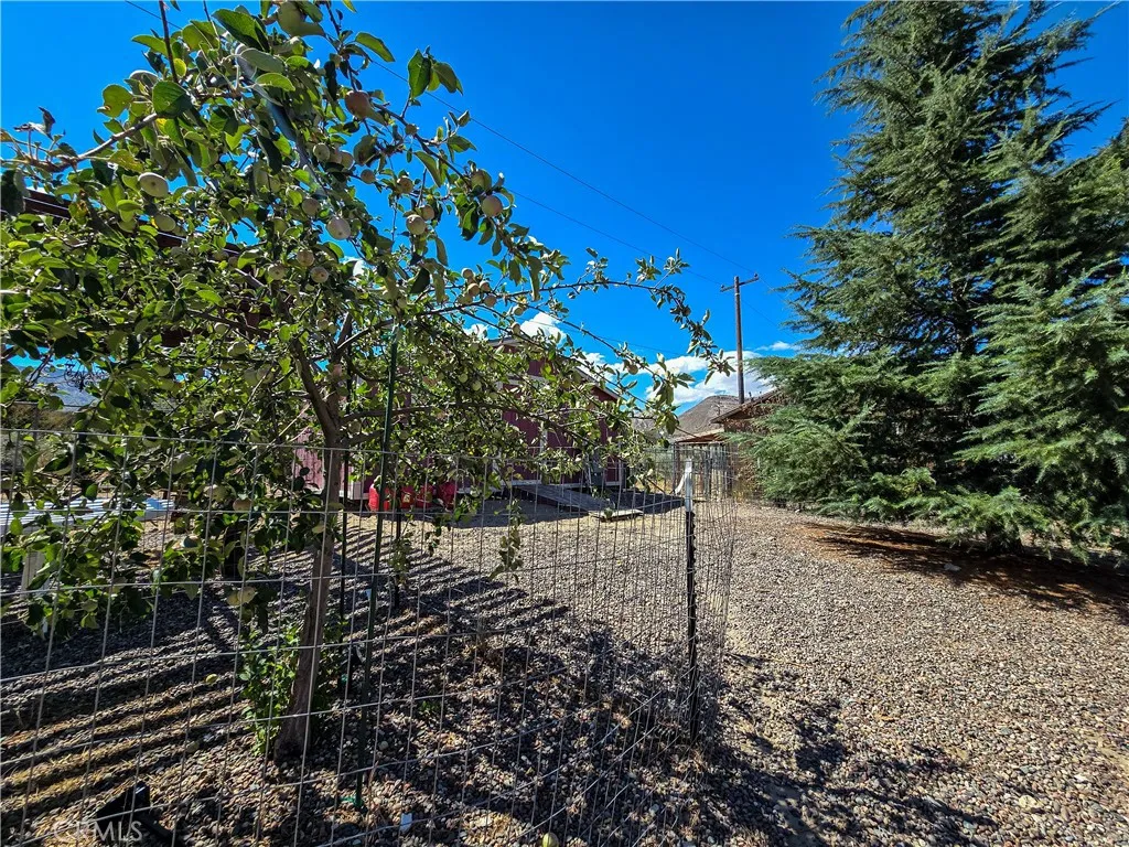 main property photo 24