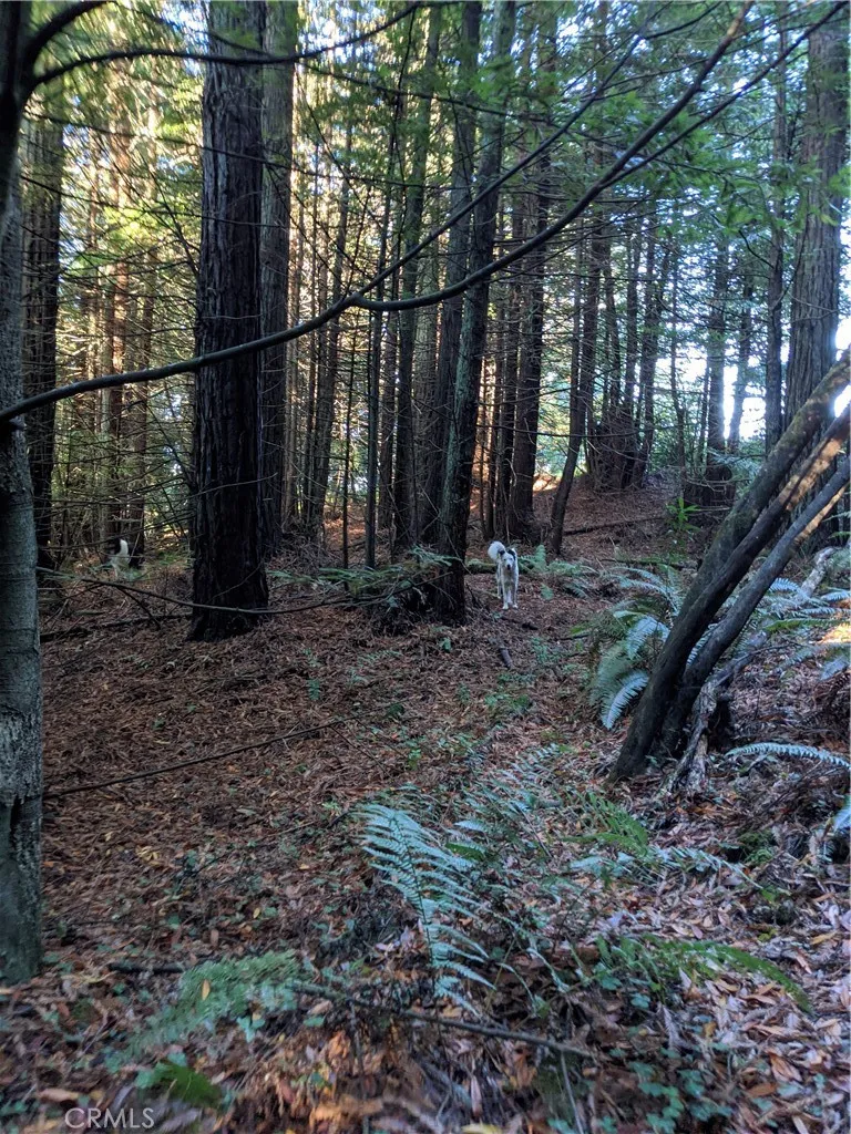 main property photo 10