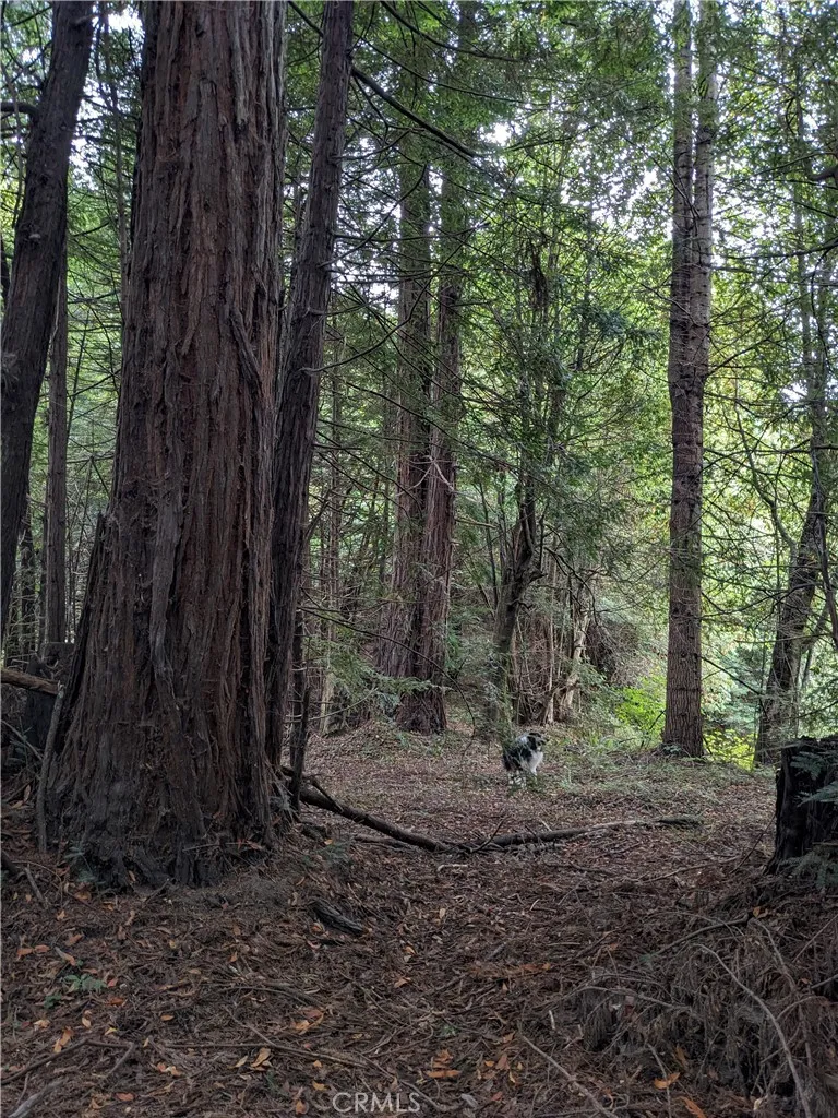 main property photo 11