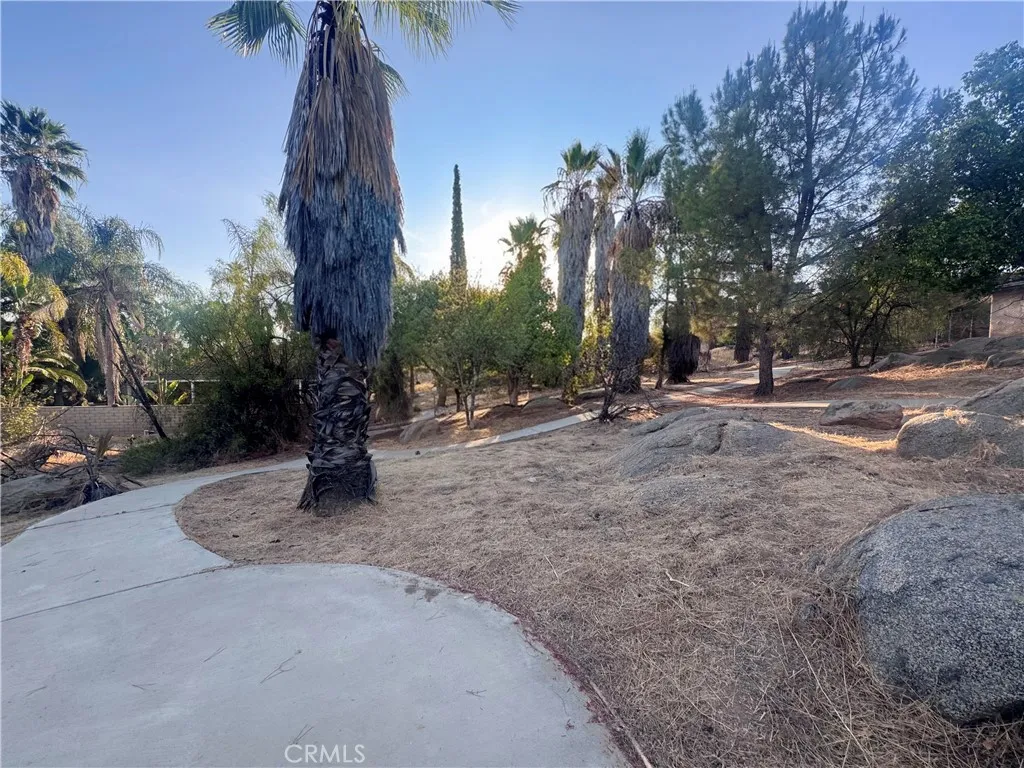 main property photo 46