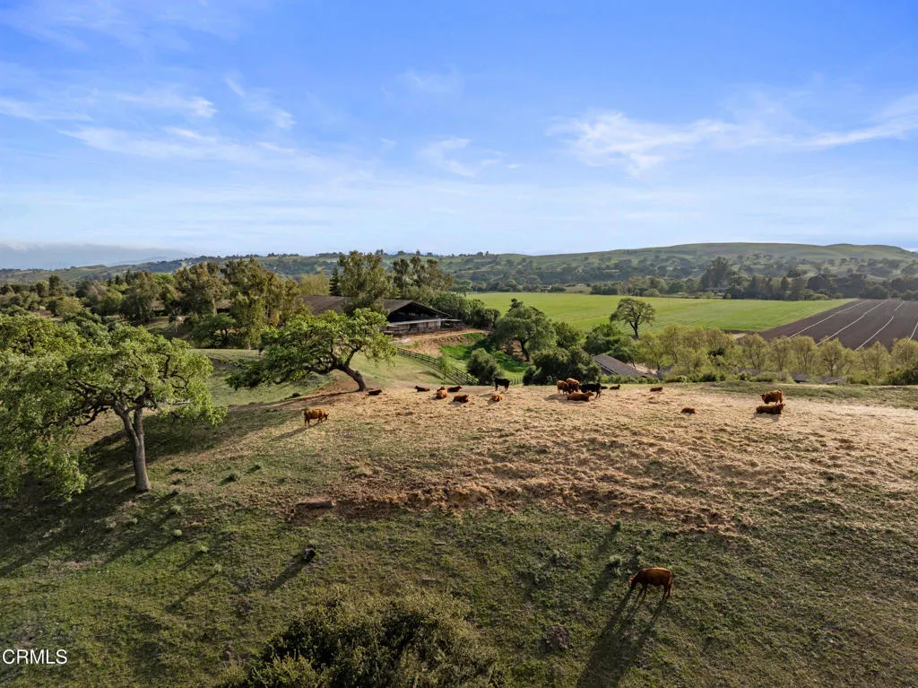 main property photo 66