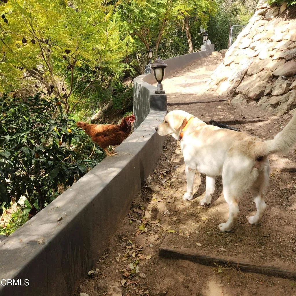 main property photo 40