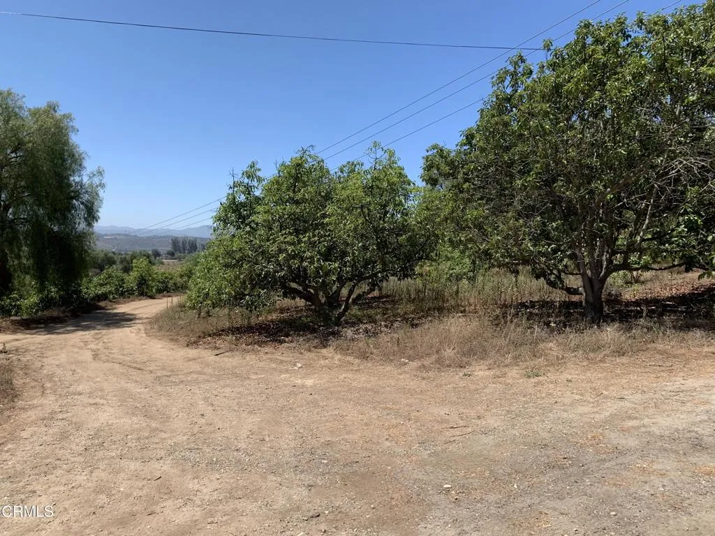 main property photo 15