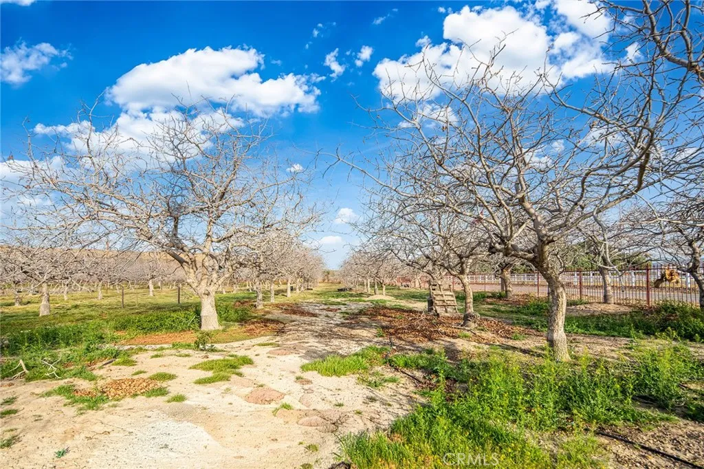 main property photo 50