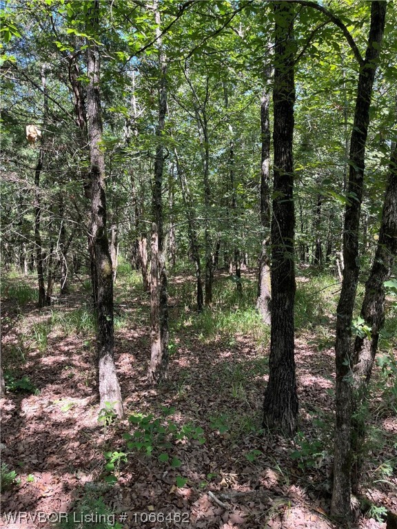 property viewer photo 10