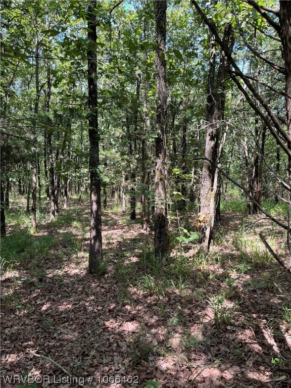 property viewer photo 12