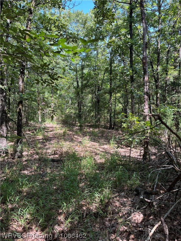 property viewer photo 13