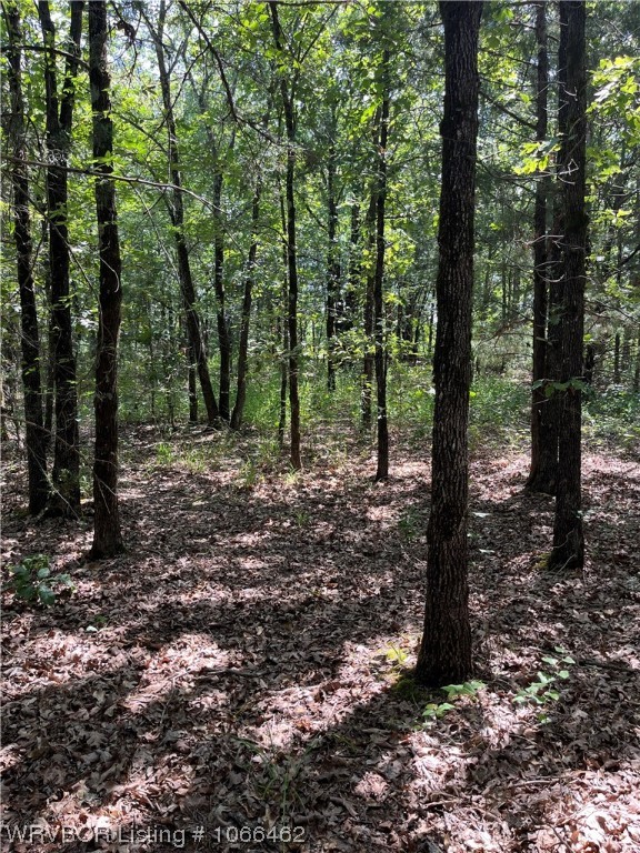 property viewer photo 14