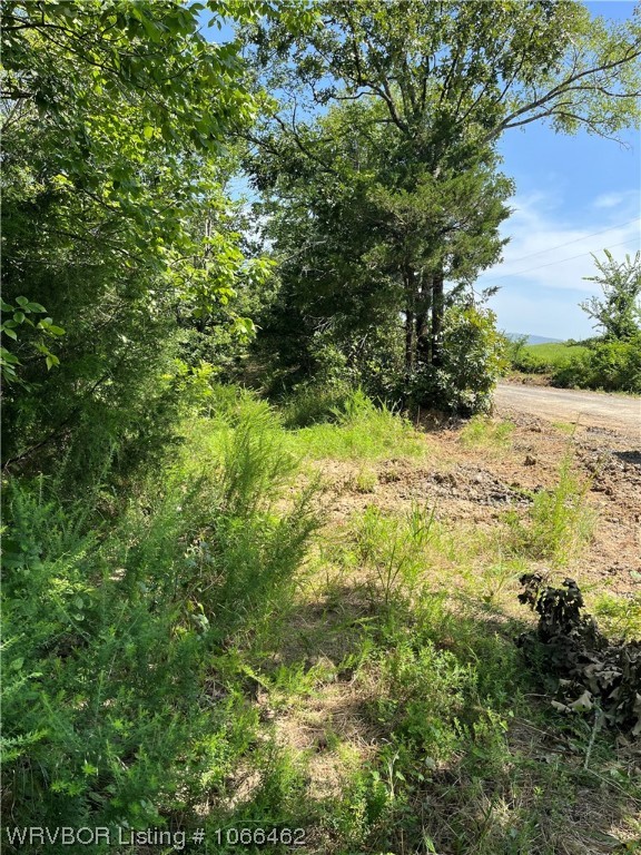 property viewer photo 4