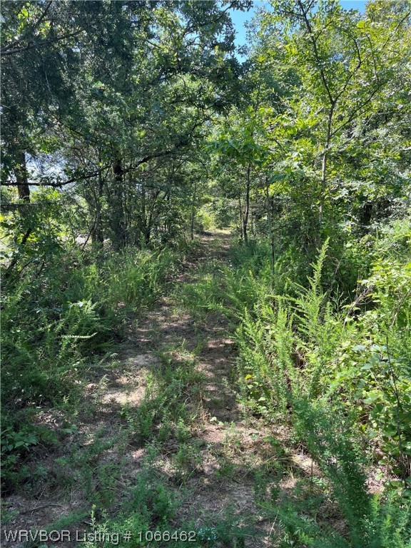 property viewer photo 5