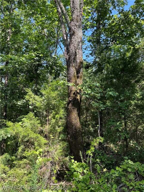 property viewer photo 6