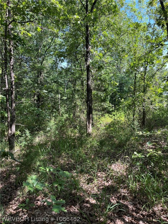 property viewer photo 9