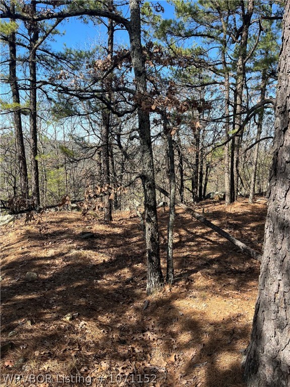 main property photo 14