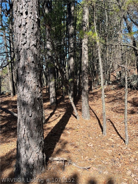 main property photo 15