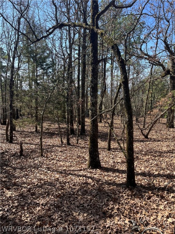 main property photo 6