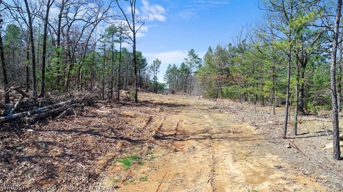 main property photo 14