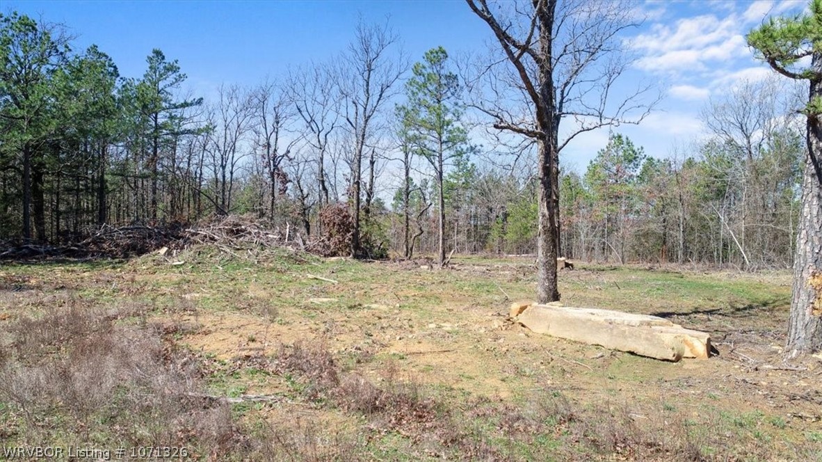 main property photo 9