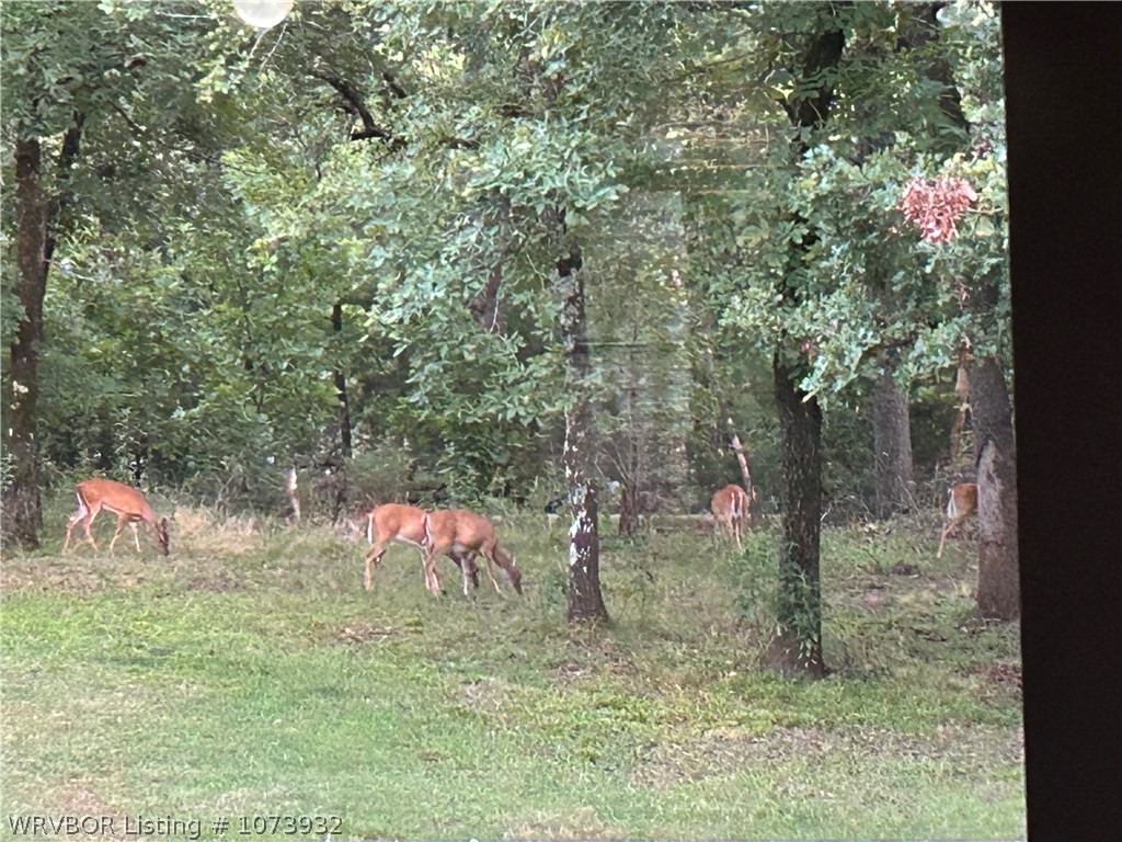main property photo 16