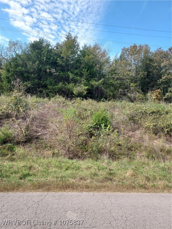 main property photo 4