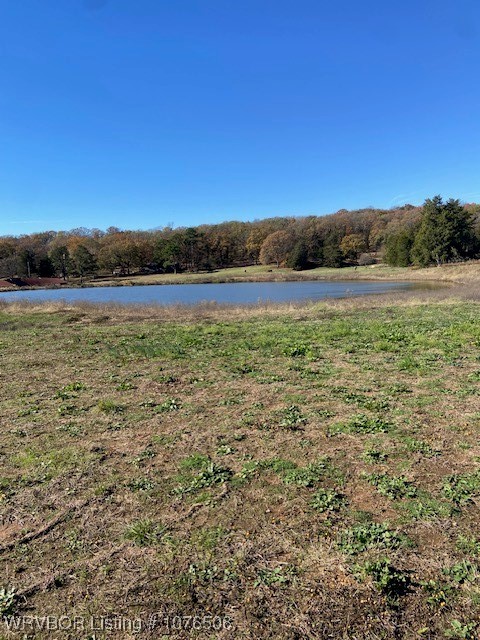 property viewer photo 4