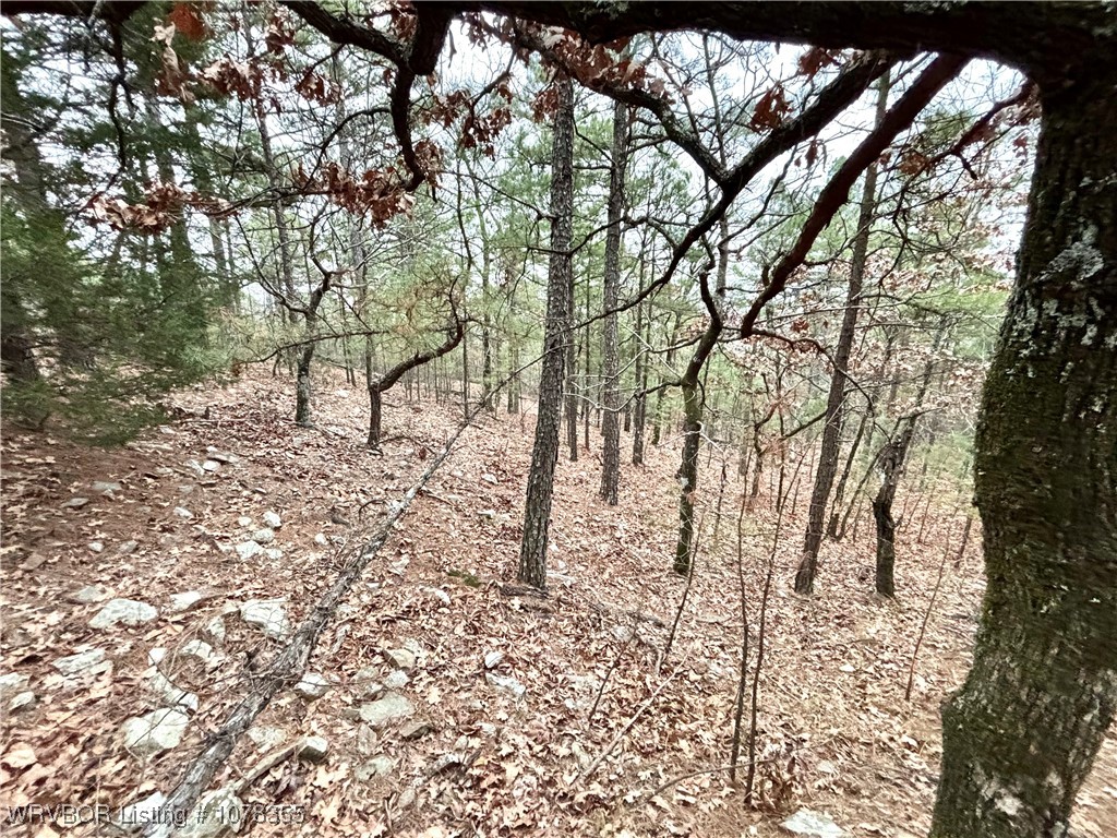 property viewer photo 10