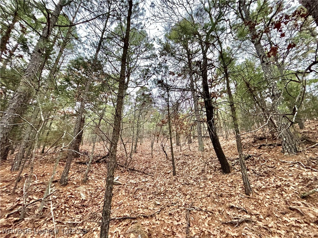 property viewer photo 11