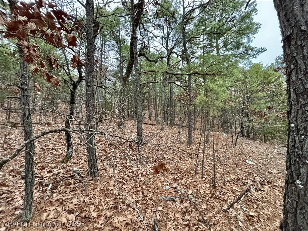 property viewer photo 12