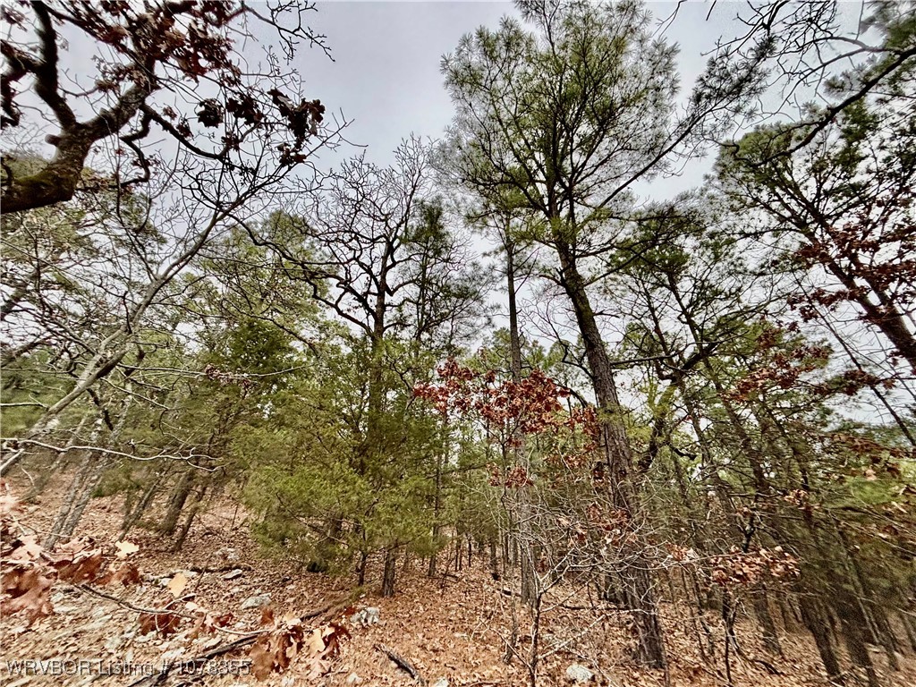 property viewer photo 13