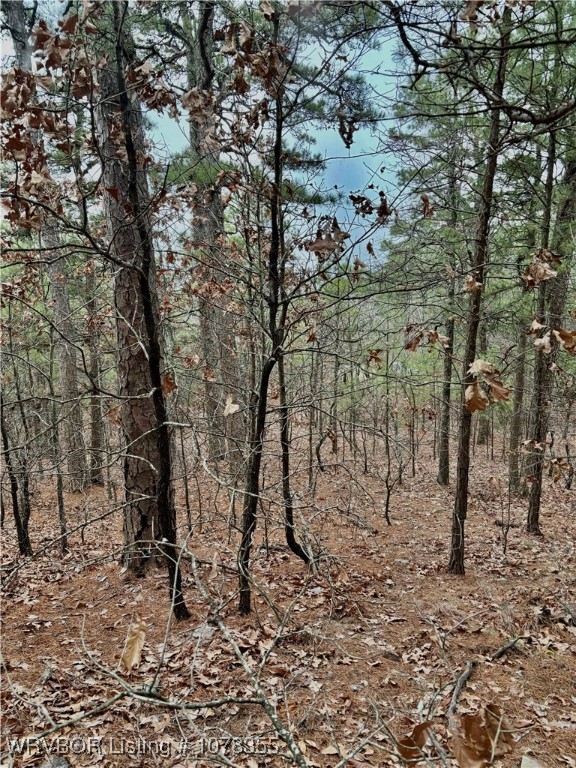 property viewer photo 3