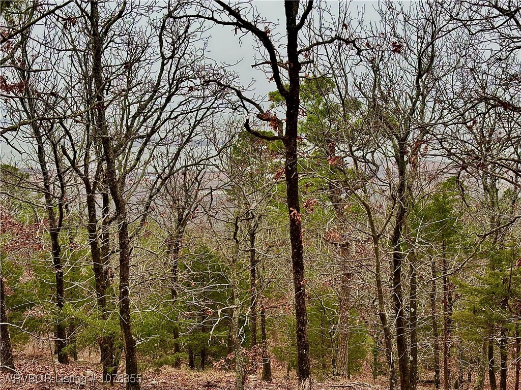 property viewer photo 6