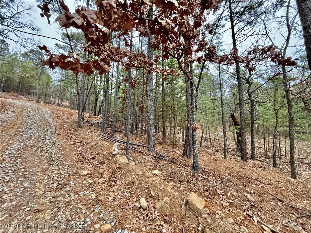 property viewer photo 8