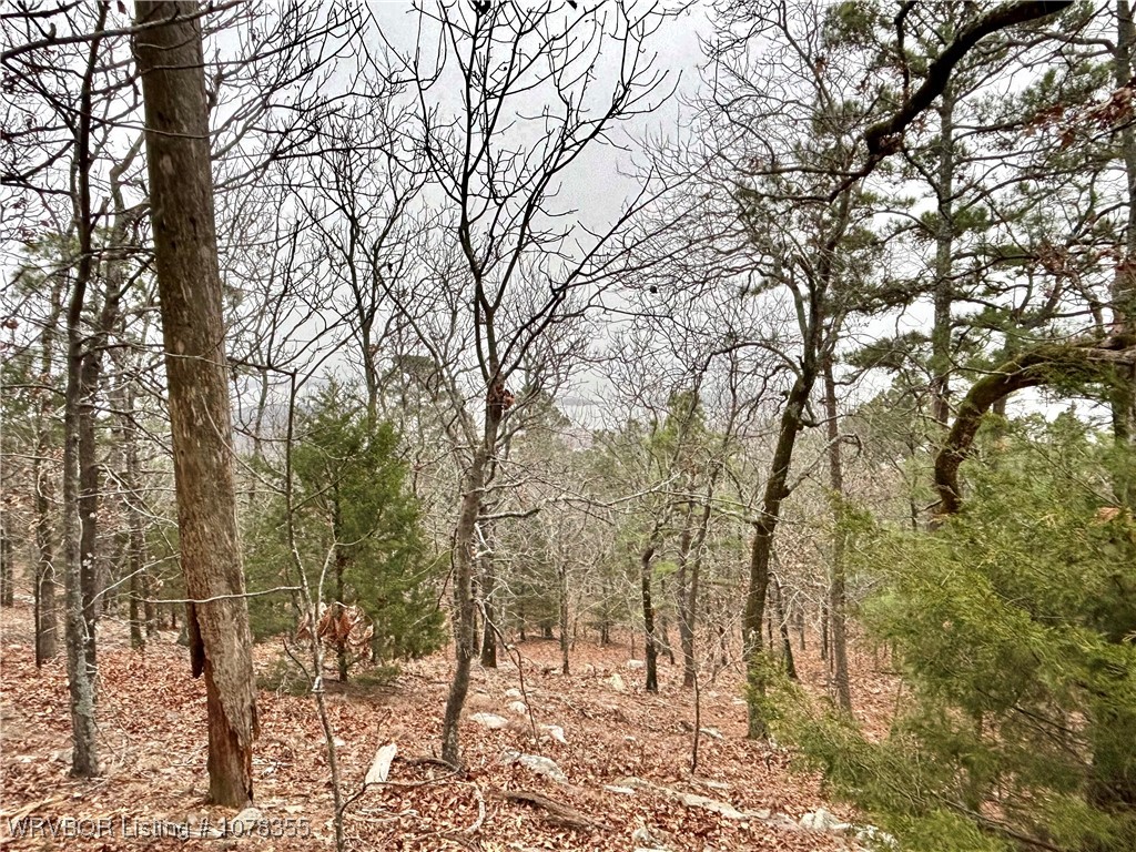 property viewer photo 9