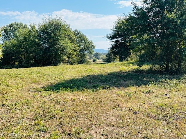 main property photo 11