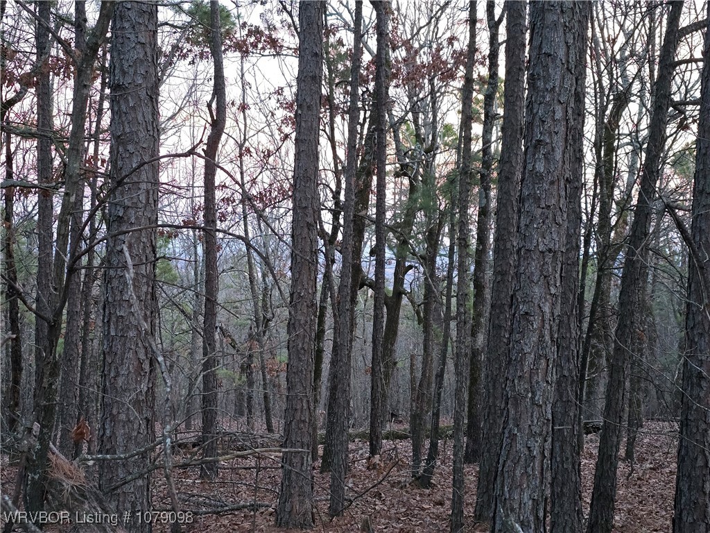 main property photo 17
