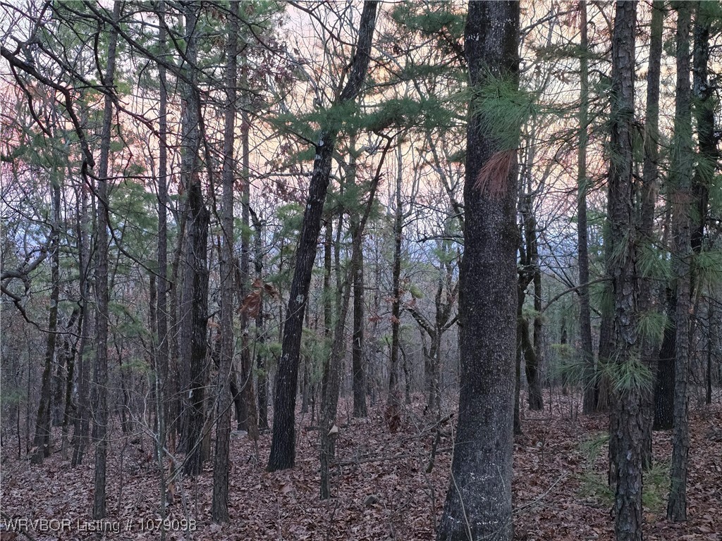 main property photo 29
