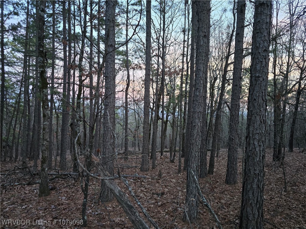 main property photo 30