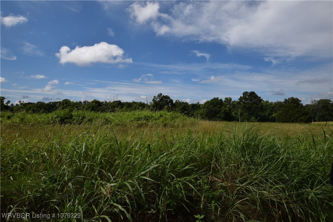 property viewer photo 4