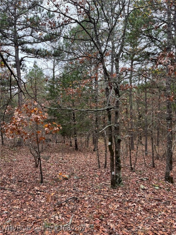 main property photo 10
