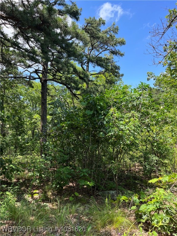 main property photo 11